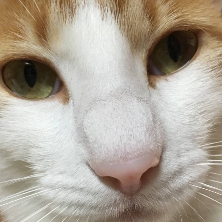 B64e0406 b644 41bc 9689 7053d9a50639