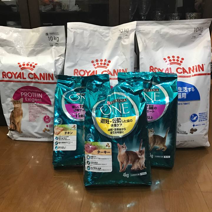 B64e13d9 cd42 4831 b6e1 70810374f4ef