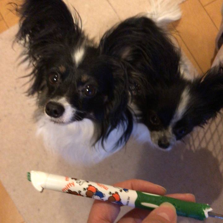 B64e3d4a eaae 4ccd 8ee2 f17cba795493