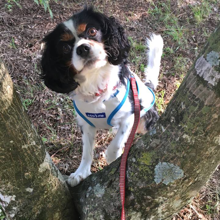 B64e4a37 f097 4da8 a9b3 2e499b64bdf2