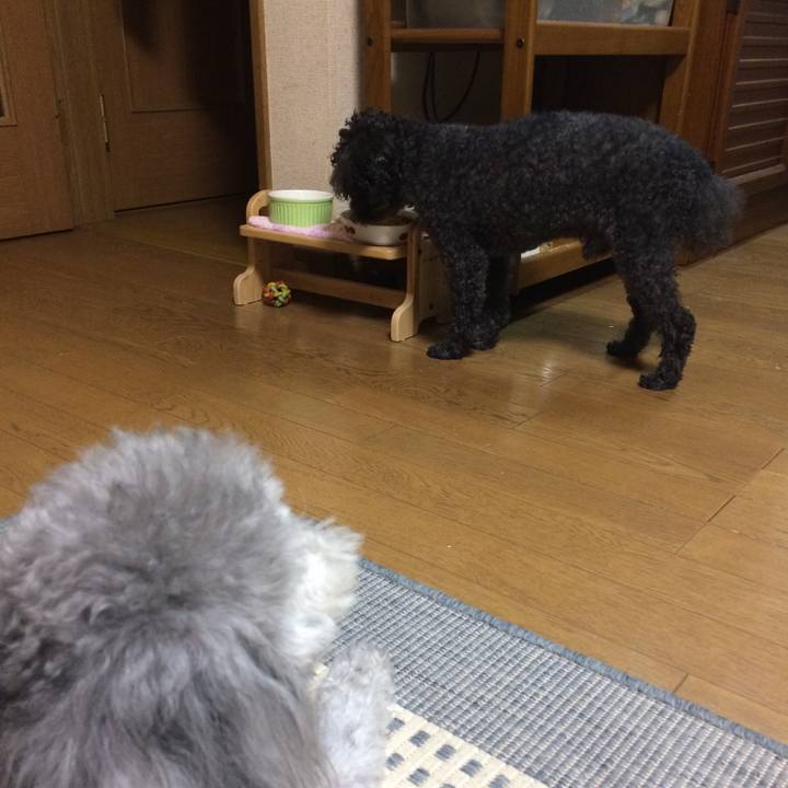 B64f5293 f0fe 47e2 b4ad bef0d55a7e98