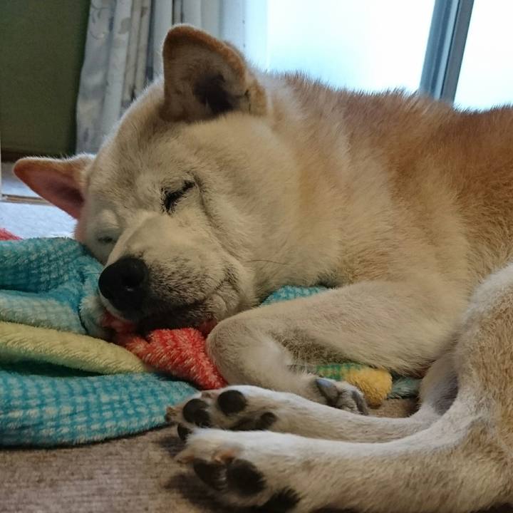 B64f8cd3 c22e 4685 9fb3 47b1178ec810