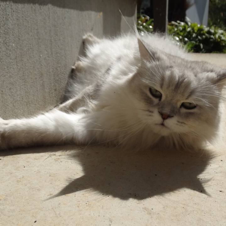 B64f8e71 1031 4f20 a328 86eb79152ddb