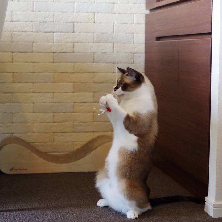 B64fa3fe 8acd 4a07 9588 719a60766383