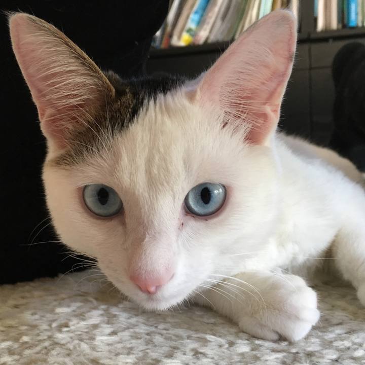 B65018d7 1fd0 4d0b ab64 49a8c6a2a139