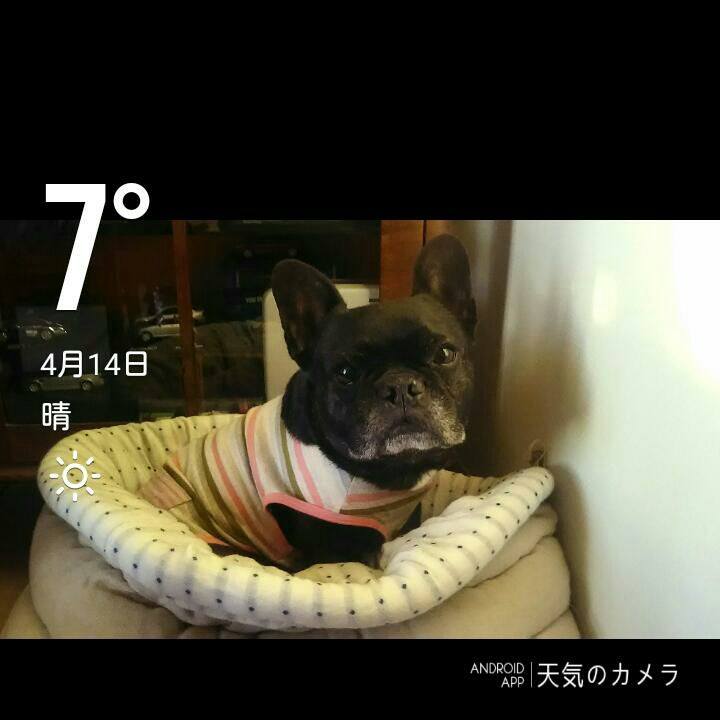B6509d2e 6863 4a87 bc69 2dbd739f20bb