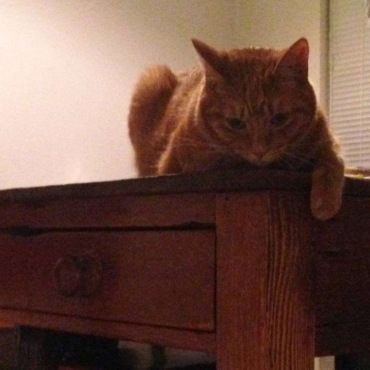 B650a672 ab3b 42f7 9a3a c4dfcc02ef57