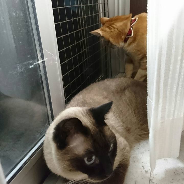 B650d19f 6ba6 463c bfb0 44605a2a9489