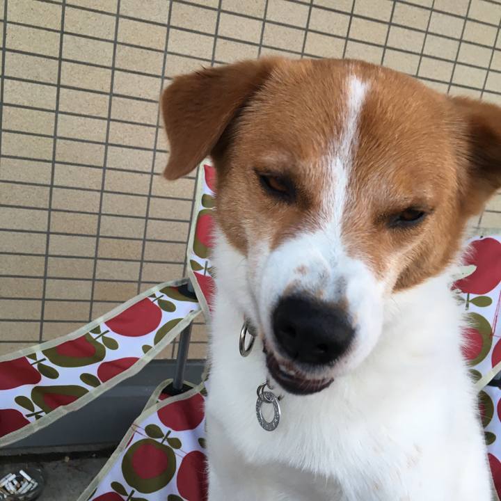 B650e42c 1968 4e82 9b51 206d876ae607