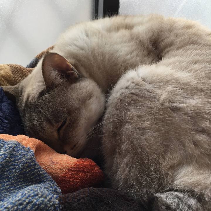 B65119e4 e6c8 442d 8f11 fddfe2f67d2e