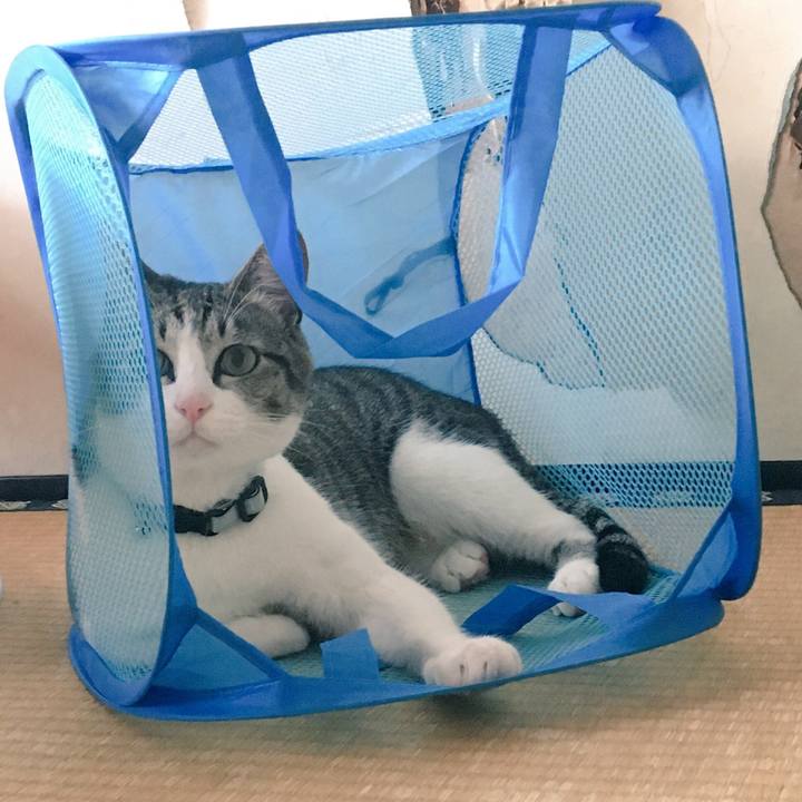 B6515bd1 ec86 46d8 84f3 7c7cd19d37b3