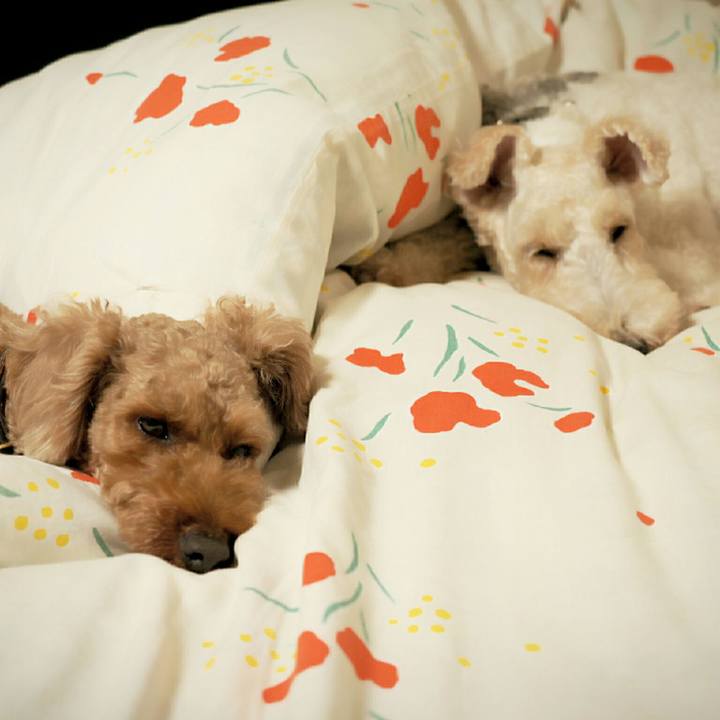 B6517496 7b2f 4ac3 bb78 f3a19b1bed47