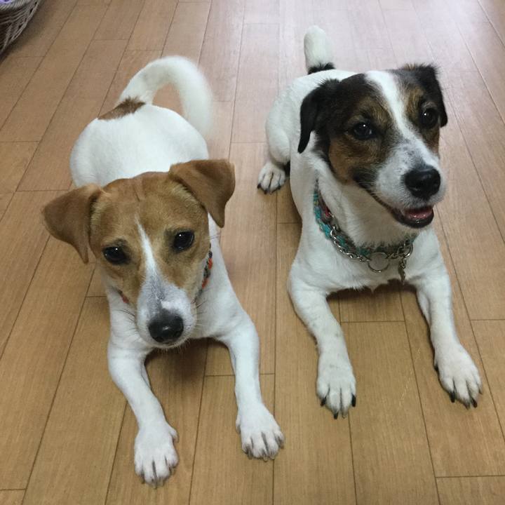 B651e725 84e3 433a 9c87 90fa84e847bf