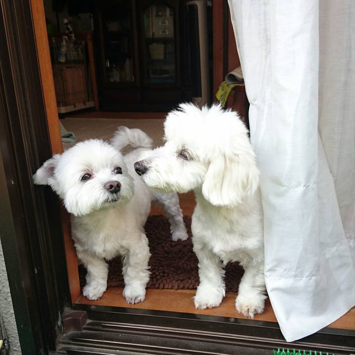 B651f009 6e65 4c5a b6f3 52acb9d36847