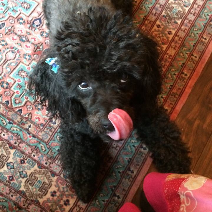 B6520600 2963 4898 997c bf9bfd6b607b