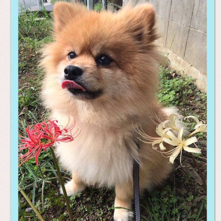 B6524b58 7fcb 4b99 bfd7 295dca957746