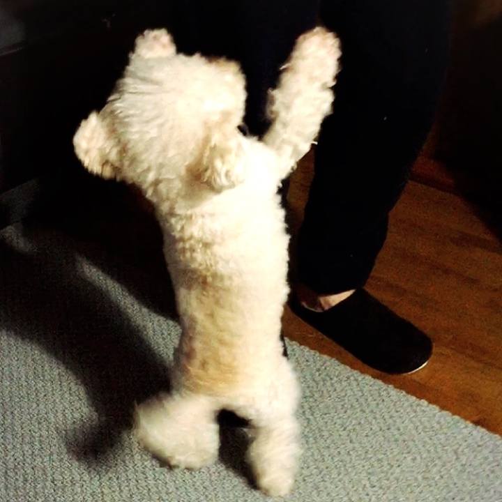 B652cf35 a5fb 48a0 a373 6652b908c1df