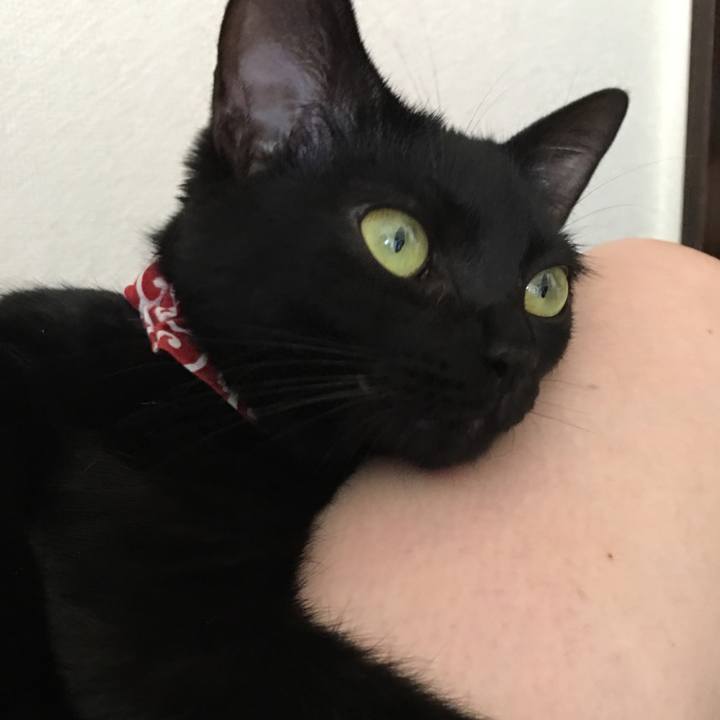 B65317fb 04c3 4ebf b945 2770bf67df2a