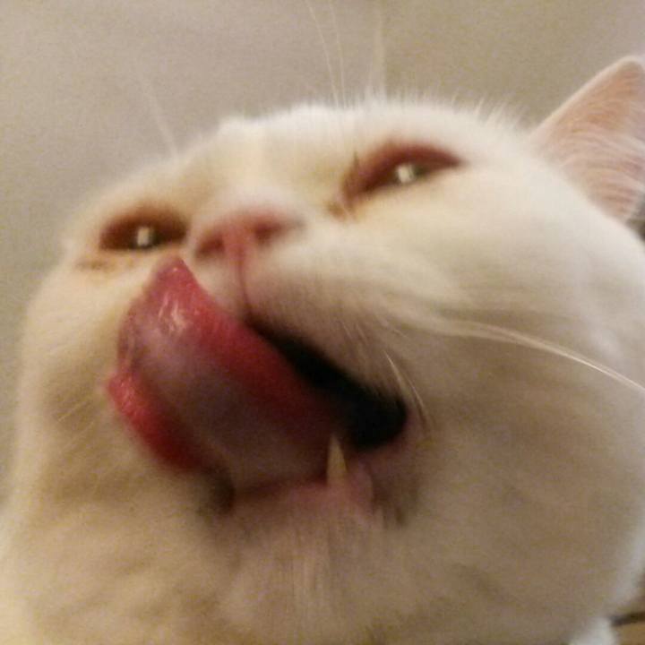 B65392b5 c32f 47d0 9dcc ac3c5800b747