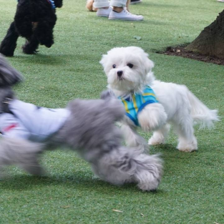 B6545dd9 0cba 40d7 b212 a47d3a8441e0