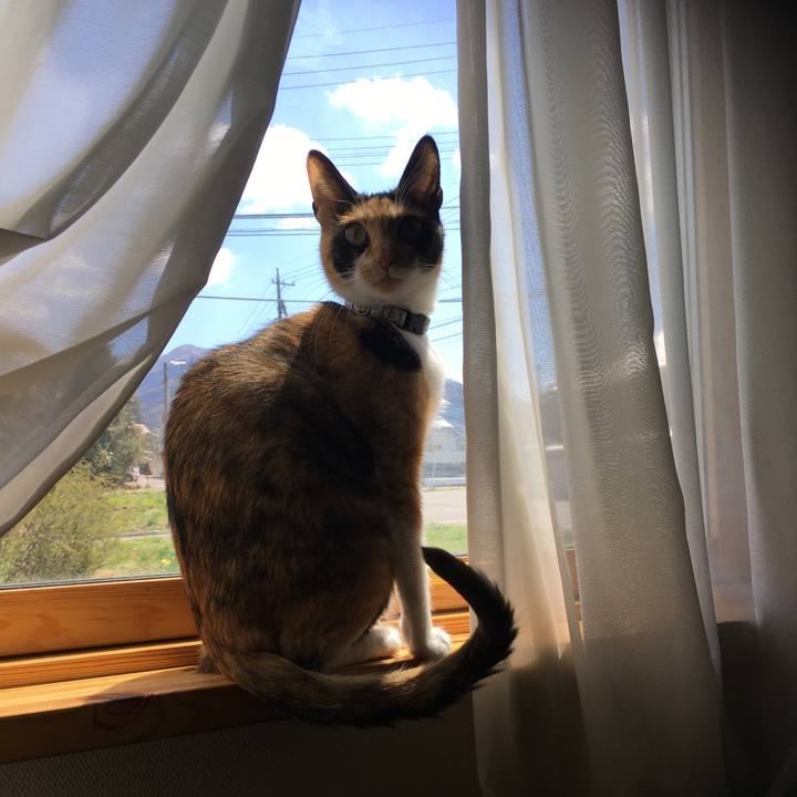 B654bad6 708d 49af 903a 5ce62a492a8d