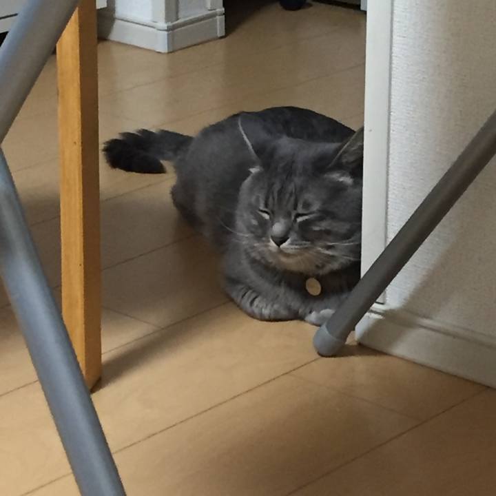 B6555a32 3711 45cb 9651 69cb4f8242a2