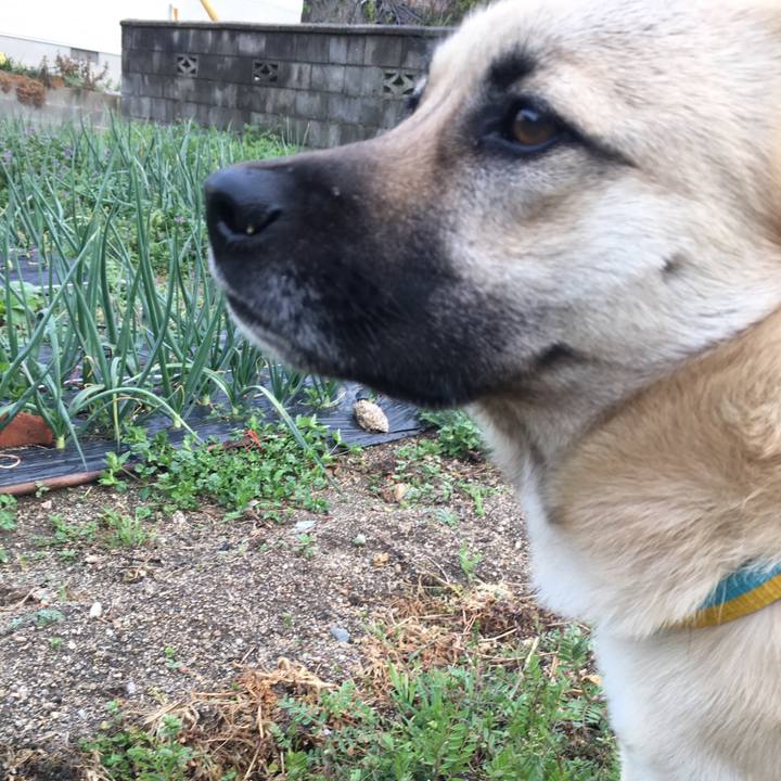 B6561c65 021b 4fe0 9392 18ac7298ba0f