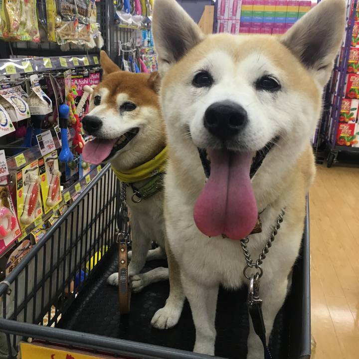 B656588e 8c5c 4d29 8ae5 0d286174b274