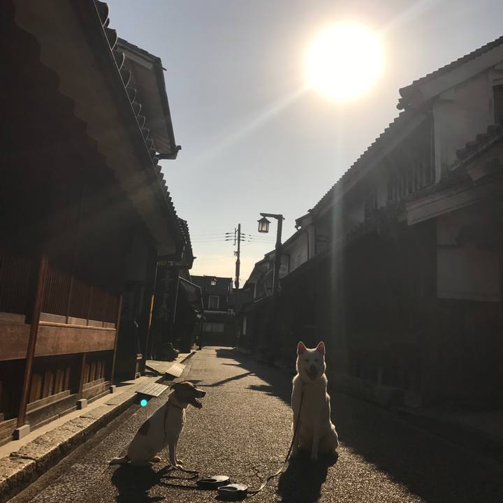 B6565d2f c9bb 4da6 a209 b2f9fa4259dd