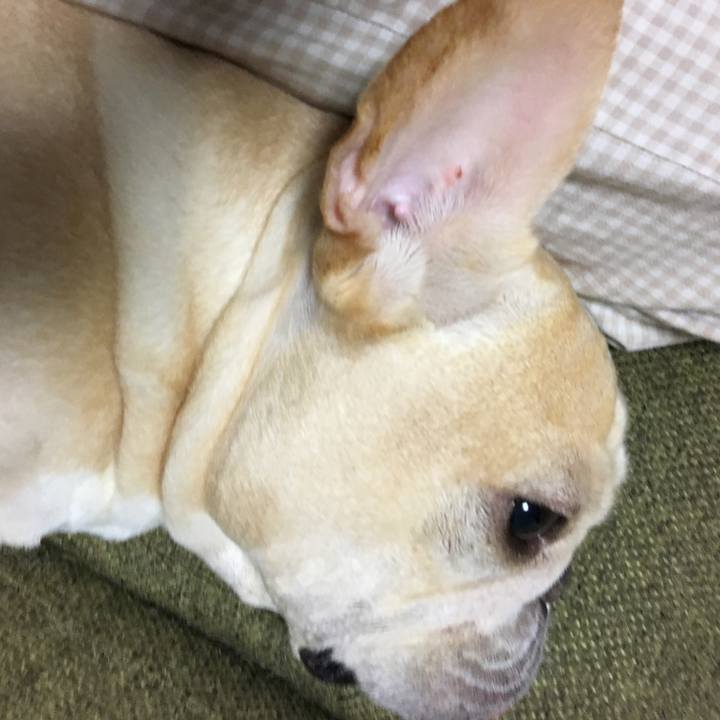 B656b1a0 75c6 46bb 934f 0e4f8a90d5d2