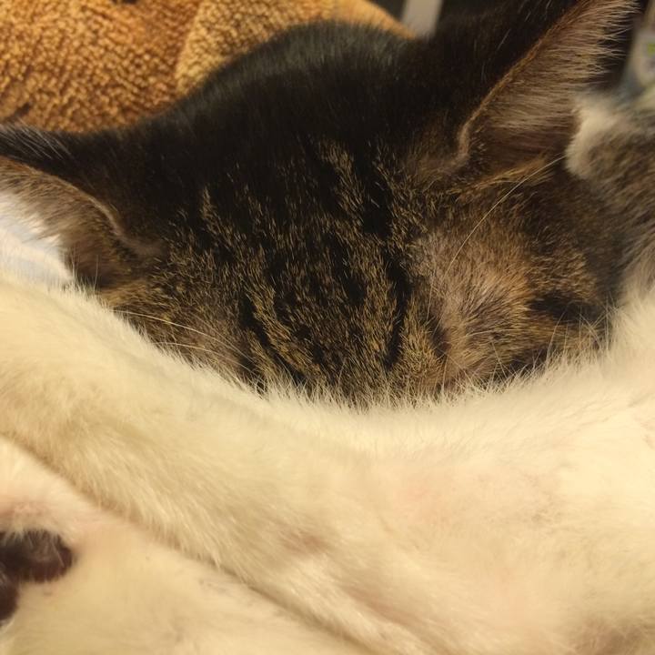 B6575d24 6c0e 4a58 9266 36acd3520c85