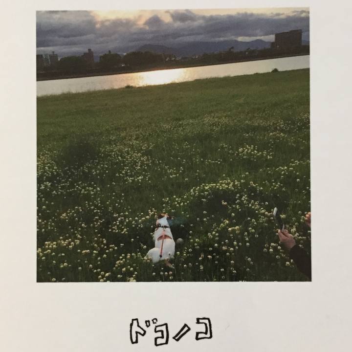 B657894d 230e 4dc1 ab5d 7daf9d0af100