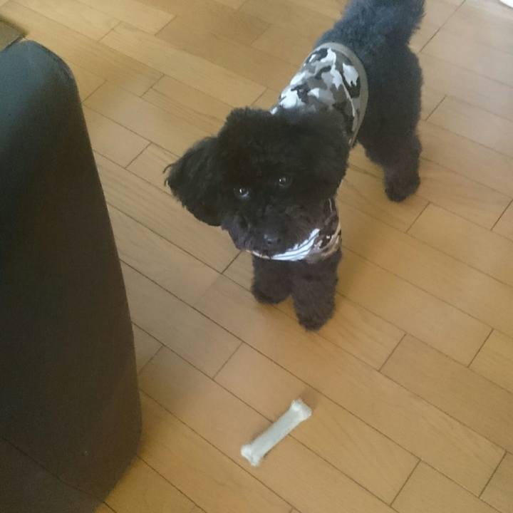 B657f5de ad43 4ced bbb1 78325535211d