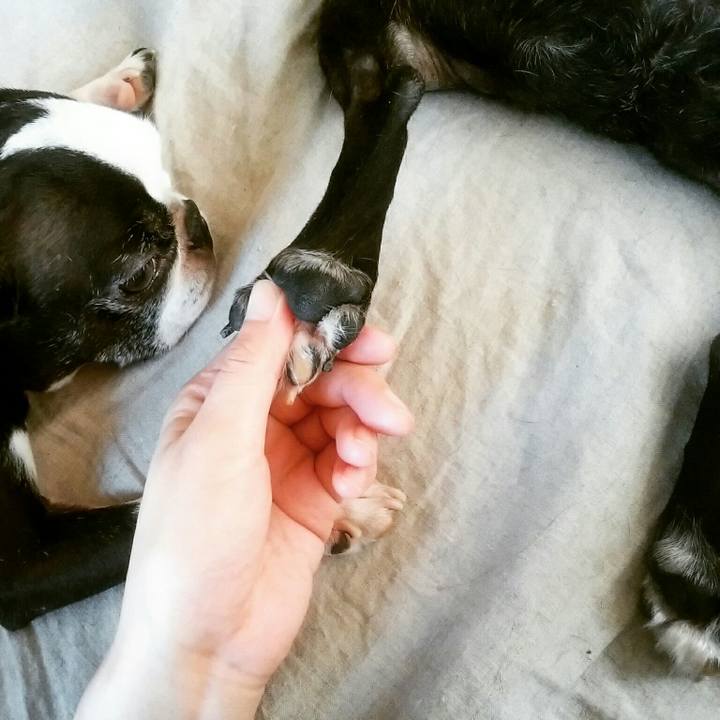 B6583b44 a5ed 45e7 b699 197e1beb65b2