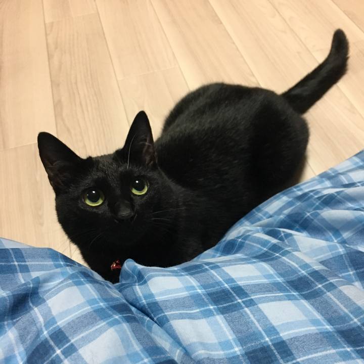 B65876c9 3625 4ea6 bbbc 7d1008ffecd2