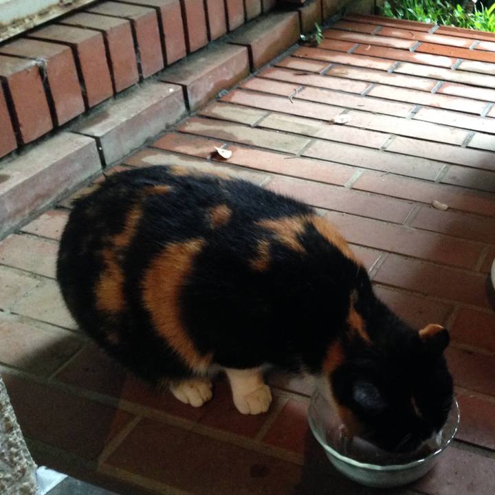 B658e2f9 6ab5 41cb b5a6 ed043ac0b2a1