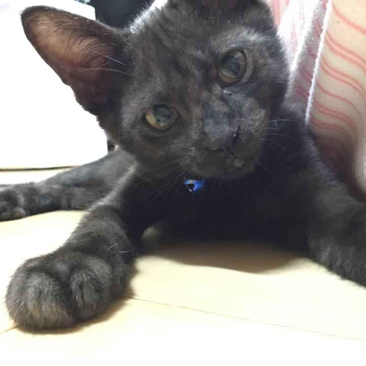 B65ab349 c933 401a b315 7b4036df0420