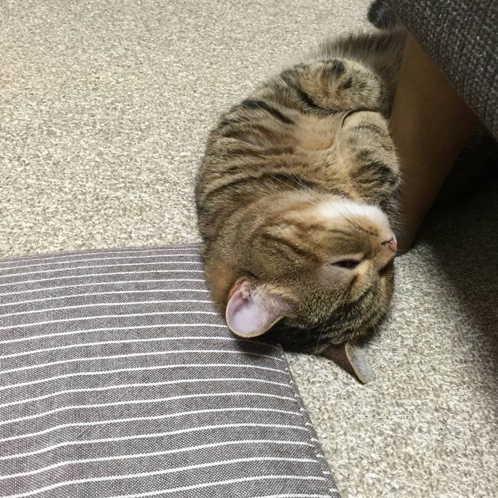 B65adbe0 31e5 417f 92bd 2ef2569290b5