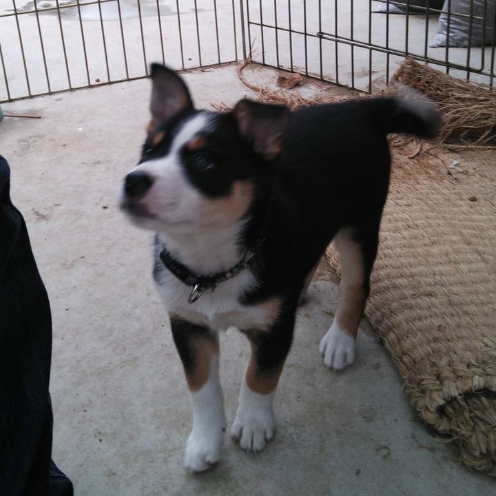 B65b6dd5 0f95 4ddb b4e3 d8845dc503cf