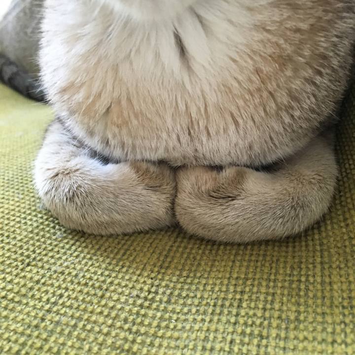 B65b6e5e 89f1 49ca 9023 88394bfbb5aa