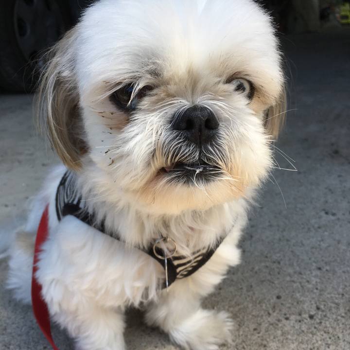 B65bbbee c979 4c1a aa64 3ac407daa68b