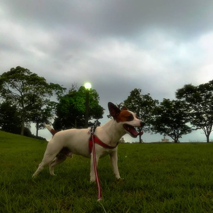 B65bca70 897b 4de6 8338 247edd236167