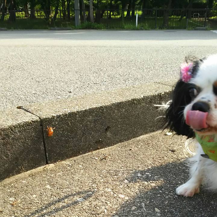 B65ca829 af1a 4d7b 8cb5 52273e8aafa3