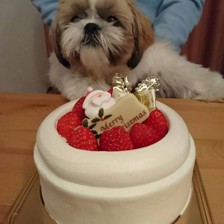 B65cddab 886d 4ac8 88df 7c9da25304f5