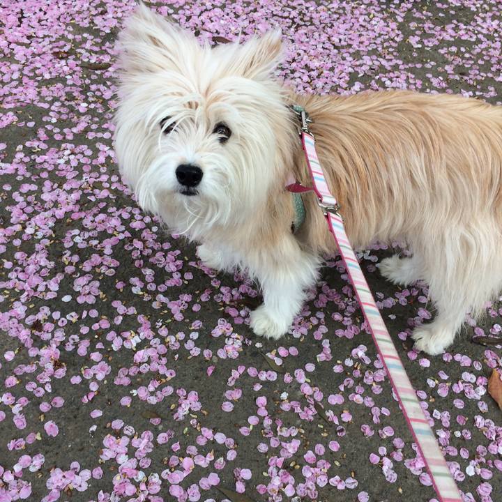 B65d24a0 9a0e 4f37 92c3 36241c35aa6b