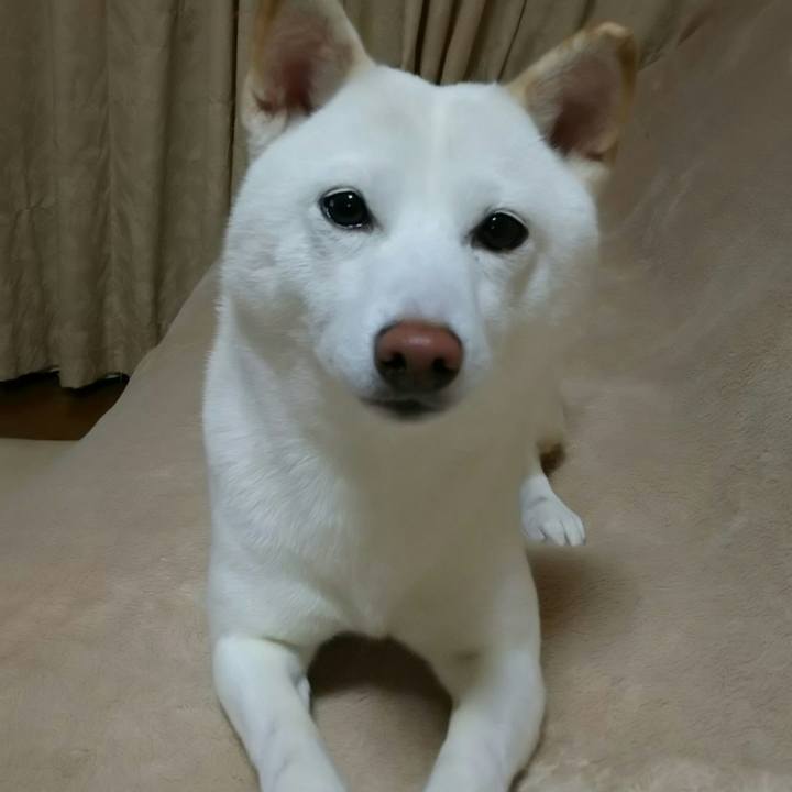 B65d4775 e975 4e62 aa4c 8bdfe22fda4f