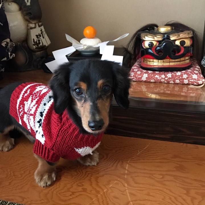 B65d6b54 4460 43d4 ae93 8f8fbd2a0bdc