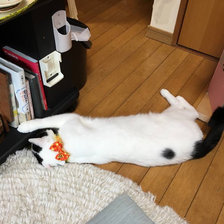 B65d8727 b865 4ca7 a61b 536e074d910b