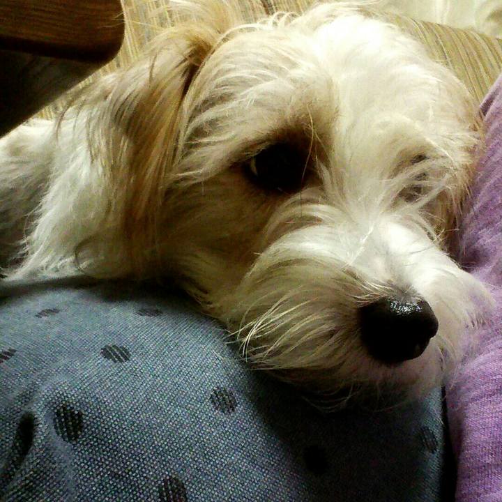 B65da0f5 7cab 4c7c a40f 7de78ae92981