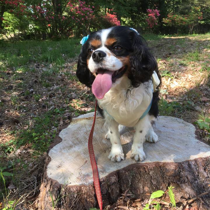 B65e332f e592 4ad4 9198 0d68b0633708